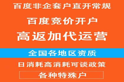 SEM代运营公司成功案例：助力企业快速实现盈利